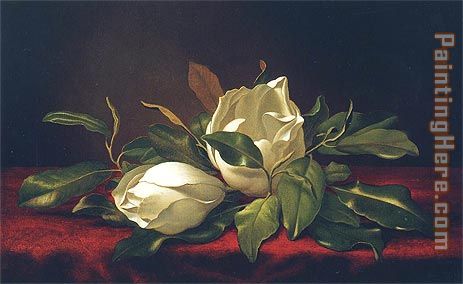 Magnoliae Grandiflorae